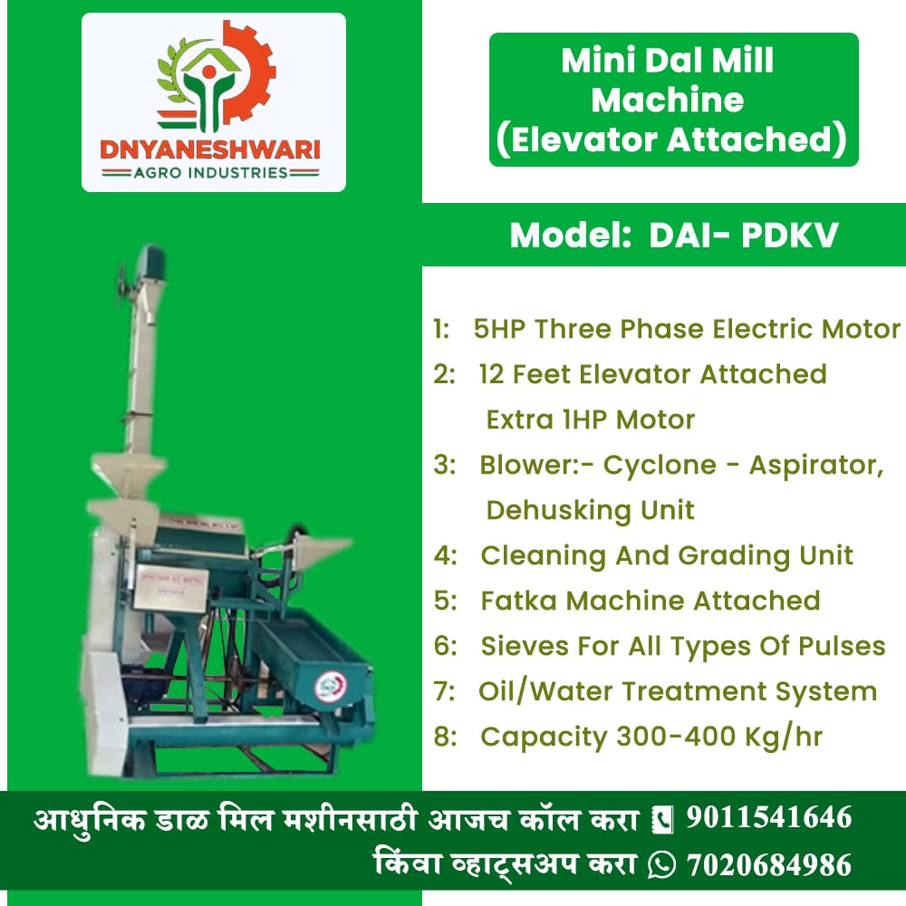 Mini Dal Mill Machine-Dnyaneshwari Agro Industries