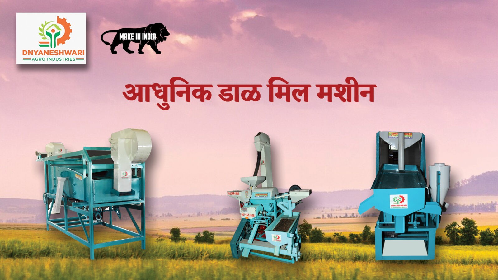 Best Dal Mill Machinery-Dnyaneshwari Agro Industries