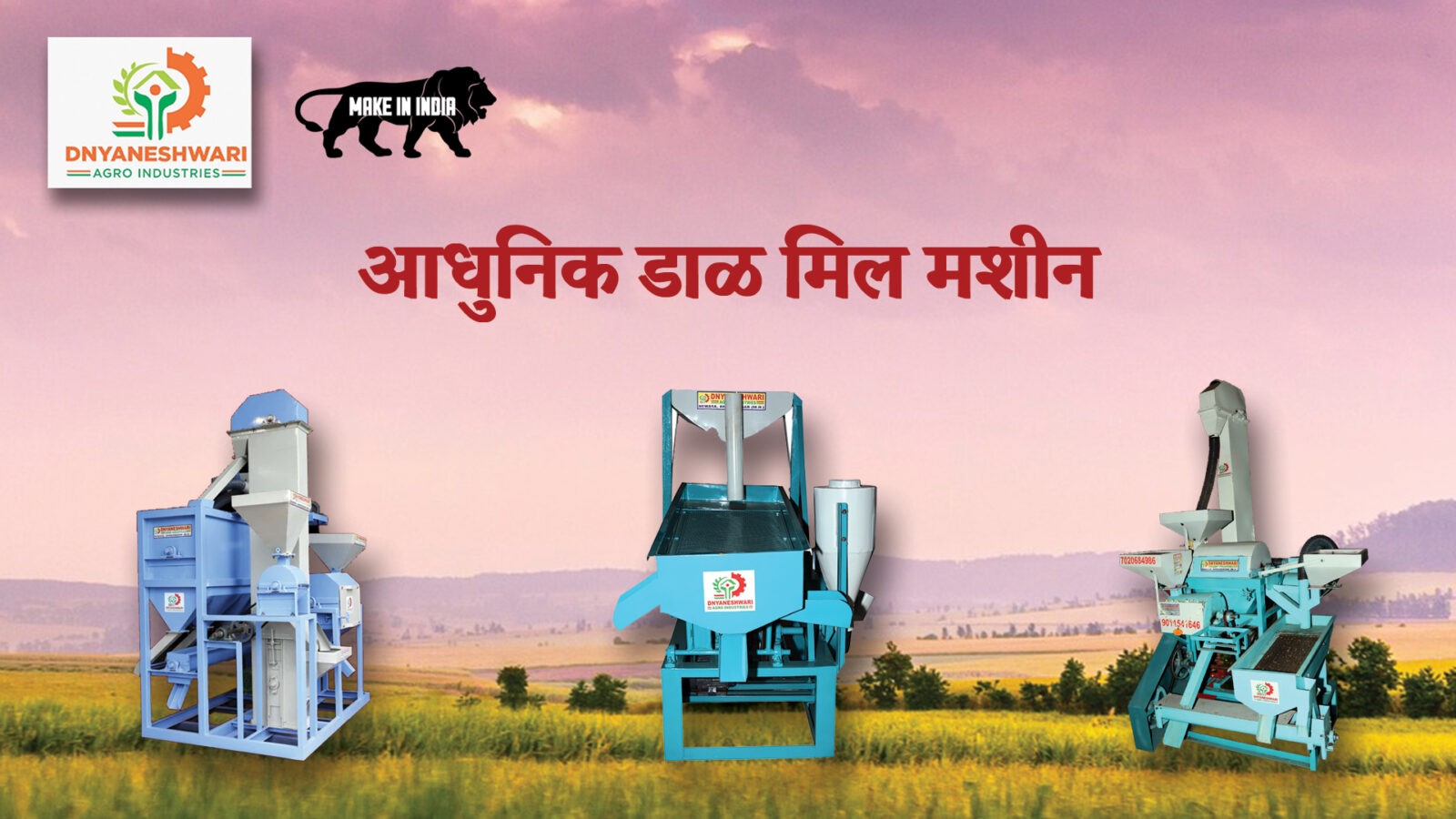 Modern Dal Mill Machine-Dnyaneshwari Agro Industries